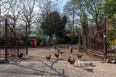 27. omgeving Julianapark-2389.jpg